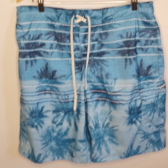 Men's Speedo swim trunks sz large - Picture 2 of 4